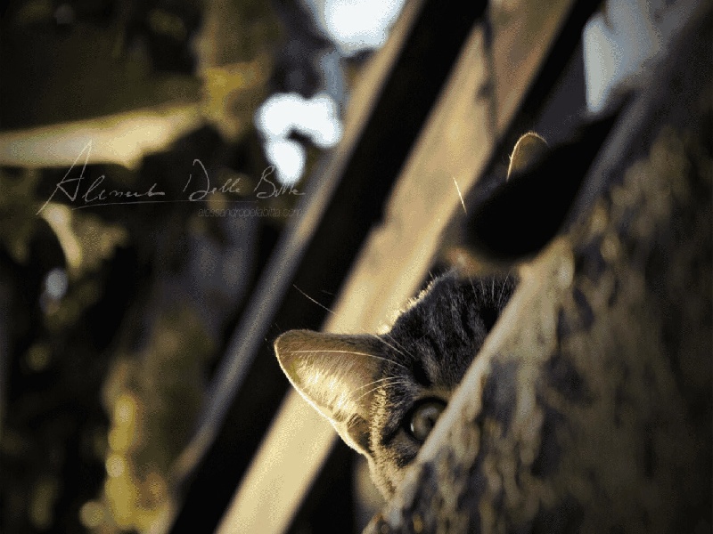 广三试管建档（试管具体周期流程）